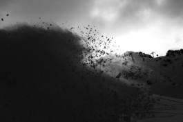  Ross Woodhall - Action & Lifestyle Photography