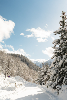  Ross Woodhall - Action & Lifestyle Photography