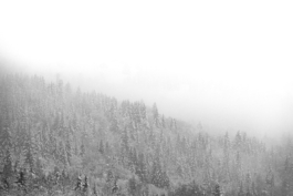  Ross Woodhall - Action & Lifestyle Photography