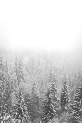  Ross Woodhall - Action & Lifestyle Photography