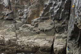  Ross Woodhall - Action & Lifestyle Photography