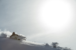  Ross Woodhall - Action & Lifestyle Photography